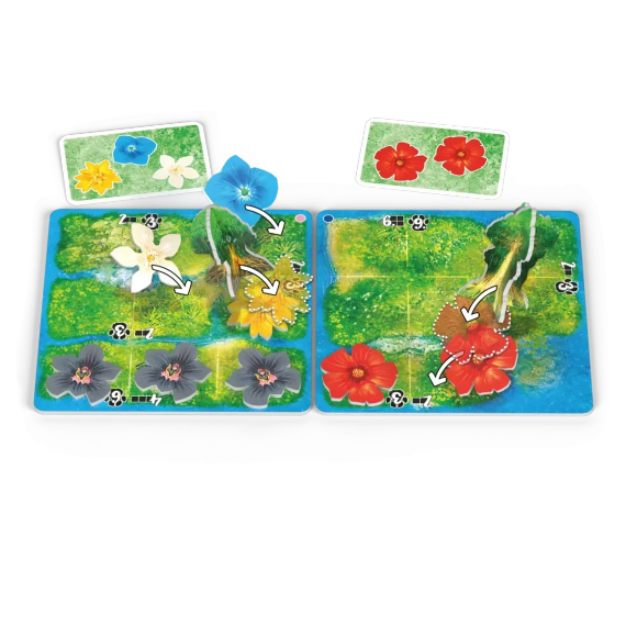 Настільна гра HUTAN: Життя в тропіках (HUTAN: Life in the Rainforest) | Зображення 3