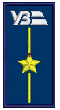 Шеврон Укрзалізниця