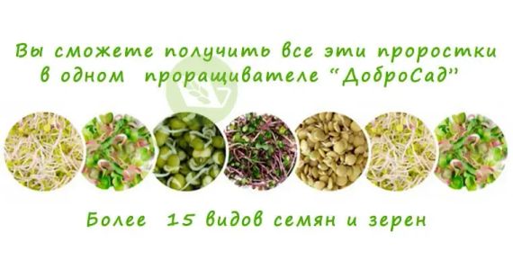Автоматичний пророщувач насіння ДоброСад (з таймером) | Зображення 1