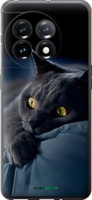 Чохол на OnePlus 11 Димчастий кіт "825u-2940-2448"