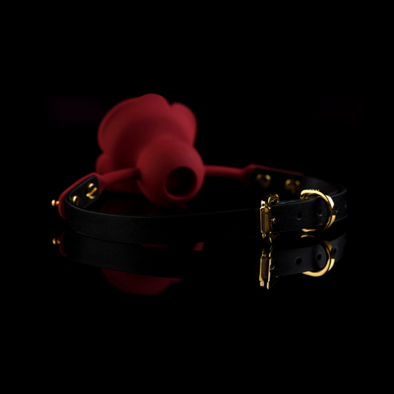 Кляп троянда із силікону та італійської шкіри Rose Ball Gag UPKO Sex Aura | Зображення 5
