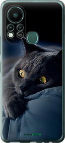 Чохол на Infinix Hot 11S Димчастий кіт "825u-2757-2448"