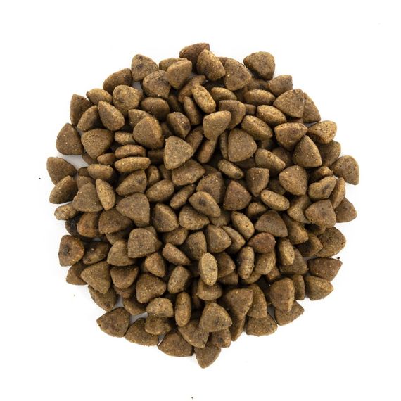 Корм сухий Brit Care Cat Grain Free Haircare Healthy and Shiny Coat для котів догляд за шкірою і шерстю лосось та курка 2 кг | Зображення 1