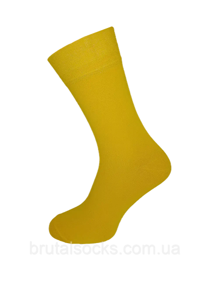 Шкарпетки чоловічі довгі кольорові демісезонні р.41-43 ТМ Twinsocks | Зображення 7