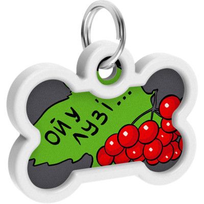 Адресник для животных WAUDOG Smart ID с QR паспортом "Калина", кость 40х28 мм (0640-0228) | Зображення 3
