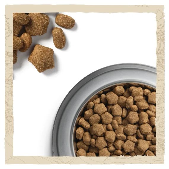 Сухий корм Dog Chow для дорослих, активних робочих собак із куркою 14 кг | Зображення 6