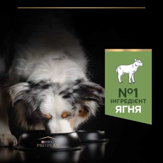 Сухой корм для собак средних пород с ягненком Purina Pro Plan Medium Sensitive Digestion 14 кг | Зображення 3