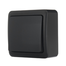 VIOLA антрацит Вимикач зовнішній Лезард