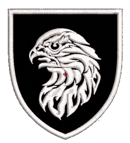 Шеврон 383 ОКРЕМА БРИГАДА БПЛА (чорний/піксель/олива/мультикам на вибір)