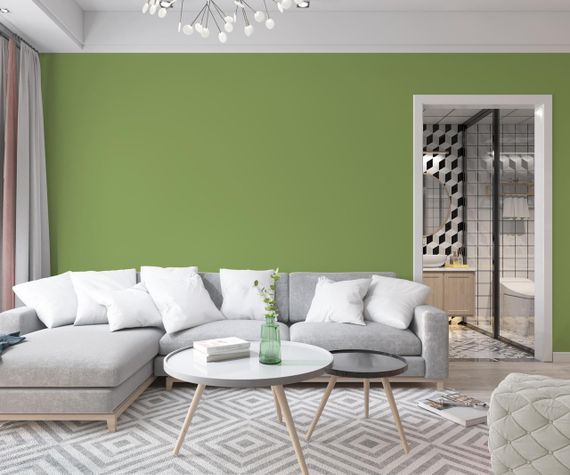 Краска Интерьерная Латексная Skyline 3030-G40Y Оливковый 3л | Зображення 2