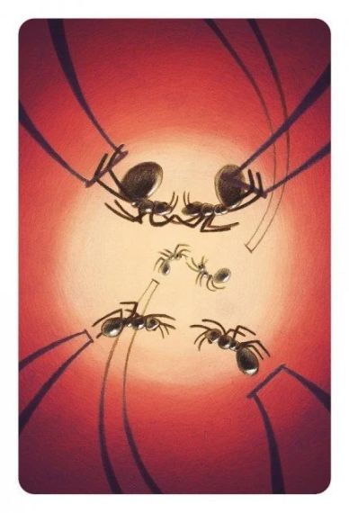 Настольная игра Dixit 8: Harmonies (Диксит 8: Гармонии) | Зображення 5