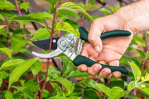 Секатор Verto тримач прогумований 15G204 | Зображення 1