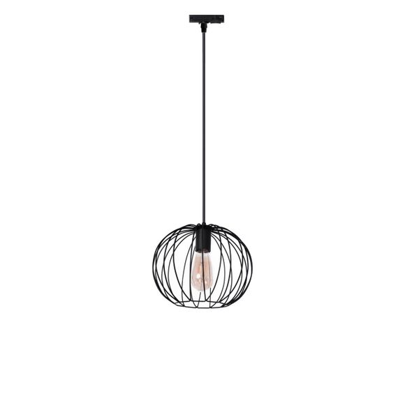 Трековий світильник підвісний Тrack Globe TP2701000 Чорний, Atmolight