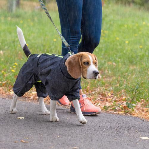 Дождевик Pet Fashion «Rain» для собак, размер M2, сірий | Зображення 4