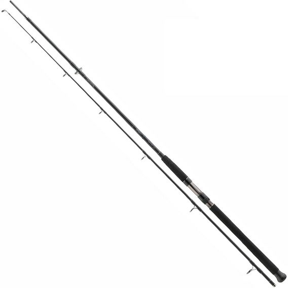 Спиннинг Daiwa Exceler Catfish Spin 2.40m max 185g