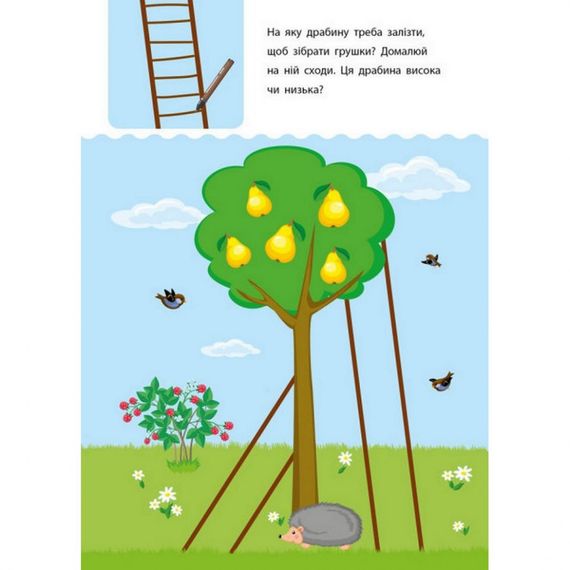 Навчальна книга "Креативна Навчалочка" АРТ 11528 укр, 3-4 роки | Зображення 2