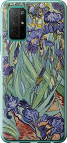 Чехол на Huawei Honor 30S Винсент Ван Гог. Ирисы "161u-1897-17620"