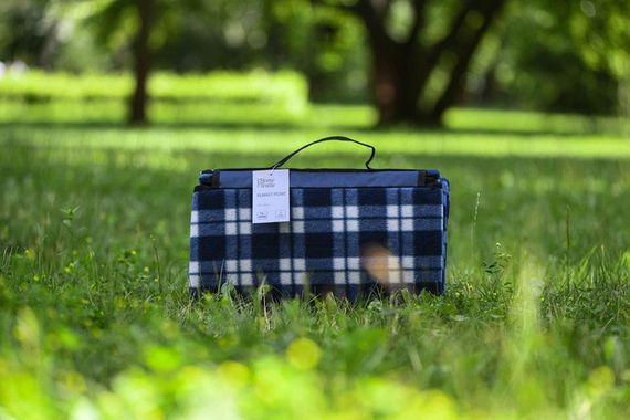 Плед Ardesto Picnic Клетка ART0916BC 130х170 см синий | Зображення 6