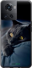 Чохол на OnePlus Ace Димчастий кіт "825u-2953-2448"