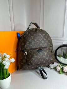 Женская Рюкзак Louis Vuitton Palm Springs MM wb052