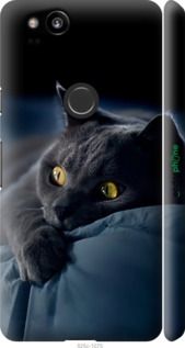 Чохол на Google Pixel 2 Димчастий кіт "825m-1075-2448"
