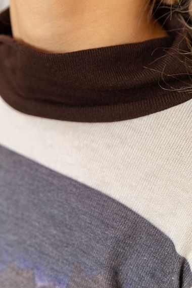 Світшот жіночий, колір коричнево-молочний, 167R746 | Зображення 5