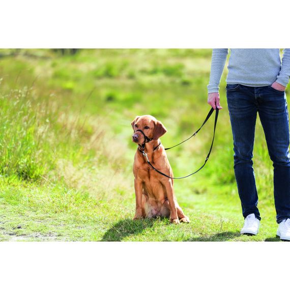 Шлея Trixie для собак тренувальна L чорна | Зображення 2