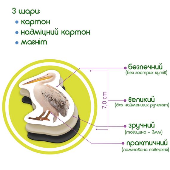 Детский набор магнитов Птицы фото Magdum ML4031-30 EN | Зображення 5