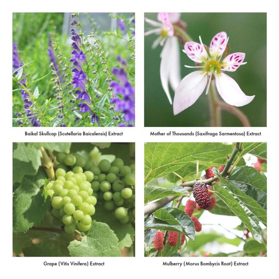 Піна для інтимного догляду Iroha Intimate Wash Foam Type Bergamot and Bitter Orange 150 мл Royal Style | Зображення 7