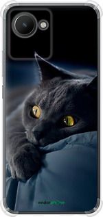 Чохол на Realme C30 Димчастий кіт "825sp-2700-2448"