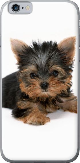 Чехол на iPhone 6s Щенок йоркширского терьера "931u-90-17620"