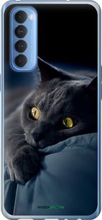 Чохол на Oppo Reno 4 Pro Димчастий кіт "825u-2024-2448"
