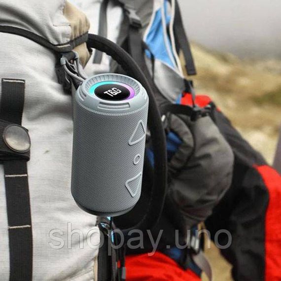 Акумуляторна переносна колонка, Bluetooth колонка з можливістю підключення флешки LA-55 | Зображення 1