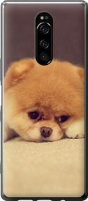 Чехол на Sony Xperia 1 J9110 Boo 2 "890u-1760-17620"
