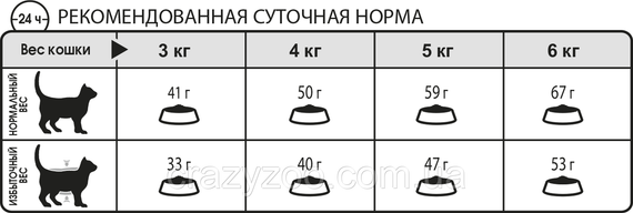 Сухий корм для котів Royal Canin Hair&Skin Care 10 кг 2526100 | Зображення 2