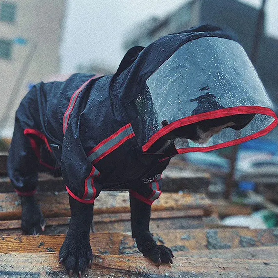 Дощовик для собак з капюшоном dog face чорний M розмір | Зображення 1