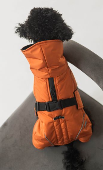 Жилет попона помаранч GP-3 | Зображення 1