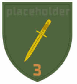 Шеврон 3 штурмовая рота