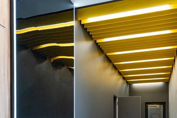 Светодиодная лента негерметичная холодный оттенок 12V 4.8W 3528 BROWN PCB CW IP20 1m (BY-022/60) | Зображення 4