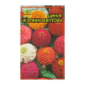 Насіння Цинія жоржиноквіткова 0,5 г (Насіння країни)