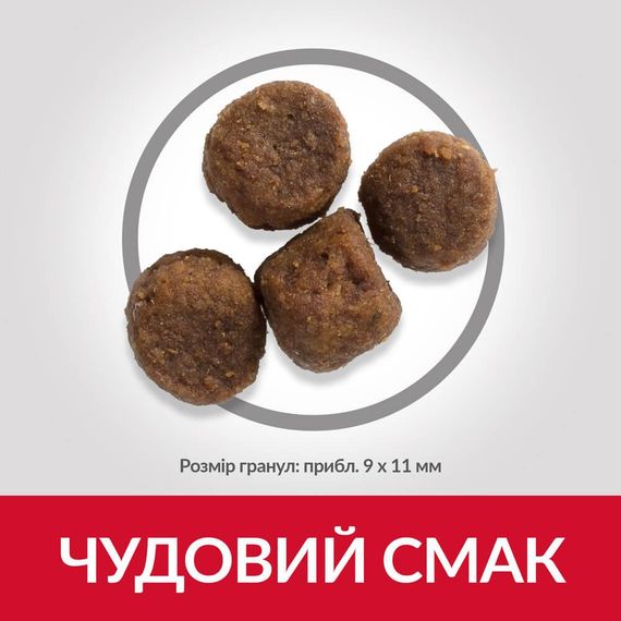 Сухой корм Hill's Science Plan для щенков средних пород с ягненком и рисом 14 кг | Зображення 3