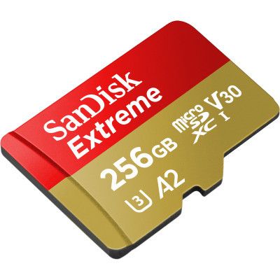 Карта памяти SanDisk 256GB microSD class 10 UHS-I U3 Extreme (SDSQXAV-256G-GN6MN) | Зображення 1