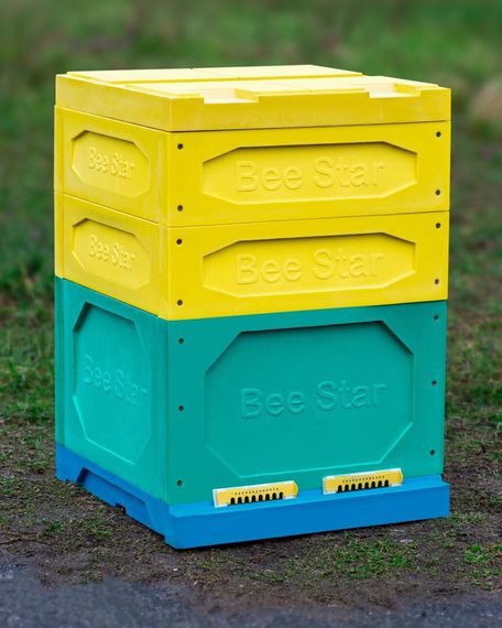 Улей ППУ «BeeStar» (1 корпус Дадан + 2 магазина на 12 рамок) — цветной
