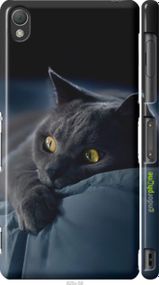 Чохол на Sony Xperia Z3 dual D6633 Димчастий кіт "825c-59-2448"