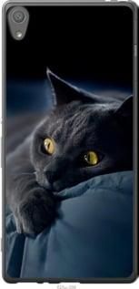 Чохол для Sony Xperia XA F3112 з силікону FCh_032841