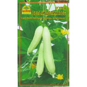 Насіння огірка Білий делікатес 5 шт. (Насіння країни)
