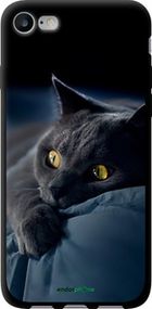 Чохол на iPhone 8 Димчастий кіт "825b-1031-2448"