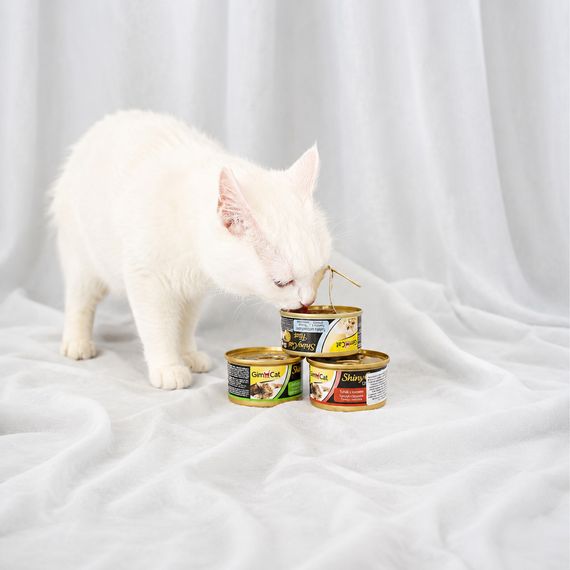 Корм вологий GimCat Shiny Cat для котів з тунцем та креветками в желе 70 г | Зображення 3