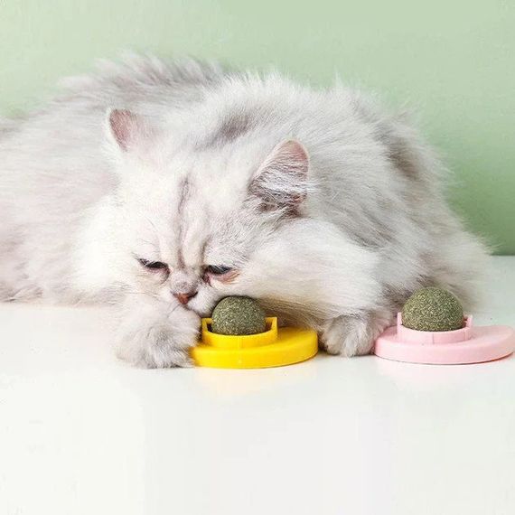 Котяча м'ята AND LY-757 для котів • Іграшка-кулька Pet Toy LY-757 з котячою м'ятою, обертовим роликом і кріпленням на поверхню | Зображення 3