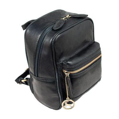 Рюкзак туристический Ashwood T87 Black | Зображення 1